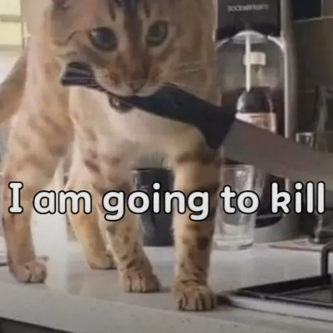 creator Talkior-lYPhIhPV's avatar