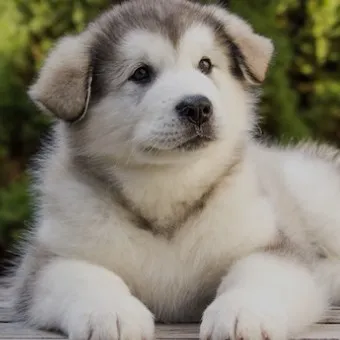 creator `•♡JayJay♡•`'s avatar