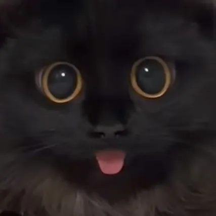 creator 😼😼 evil larry 😼😼's avatar