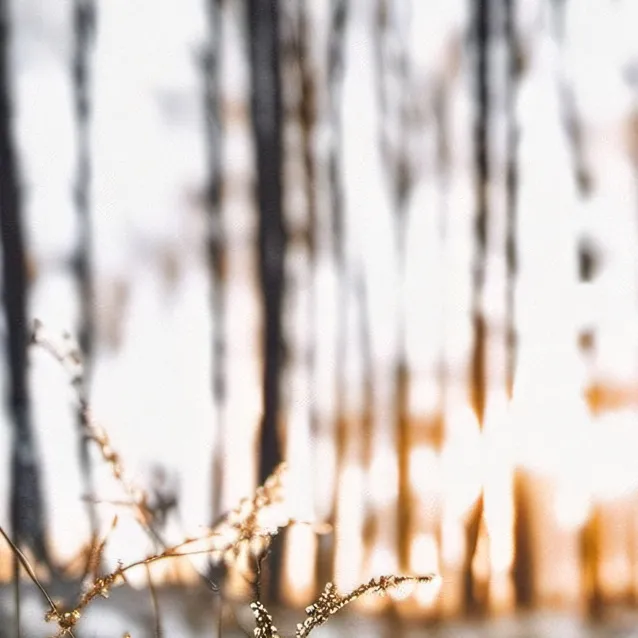 chat with ai character: GO TOUCH GRASS 💀