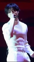 ai character: Han Jisung background