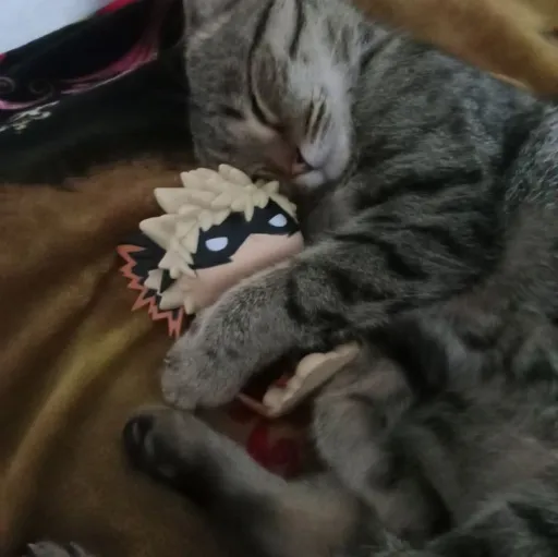 creator ~Kaden_is_gay~'s avatar