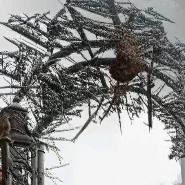 chat with ai character: everymanhybrid 