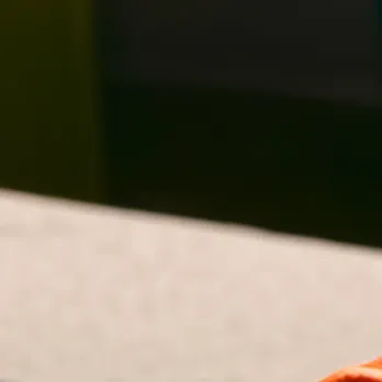 chat with ai character: Orange geck toy 