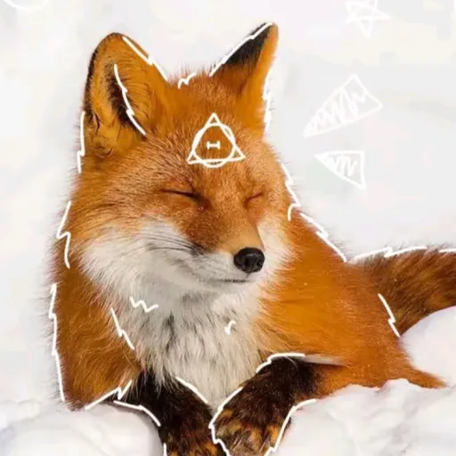 creator FOXLYDATHERIAN/FOX's avatar