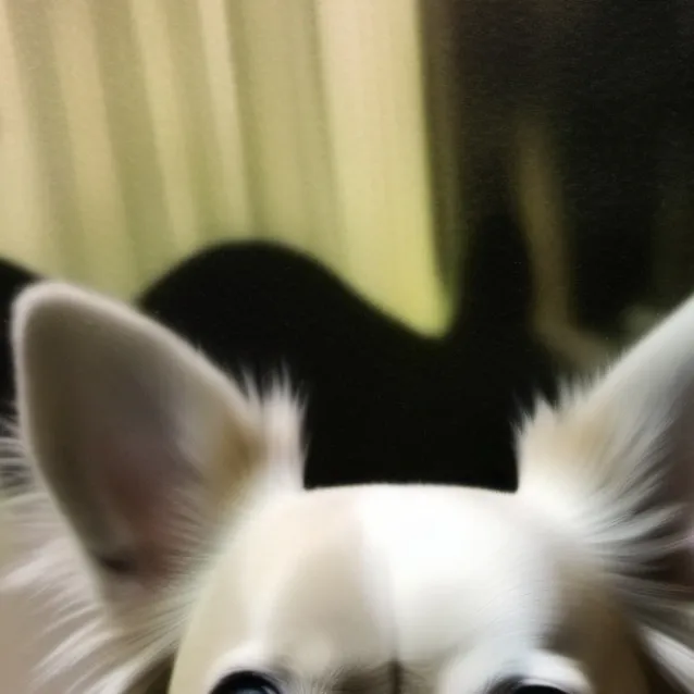 chat with ai character: gilbert