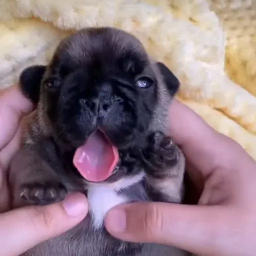 creator lils25's avatar