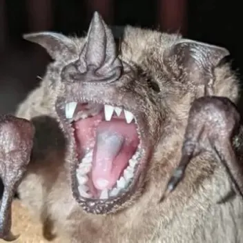 creator StellaEllaluna's avatar