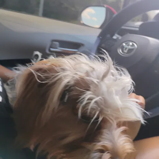 creator Big_Za💌💫's avatar