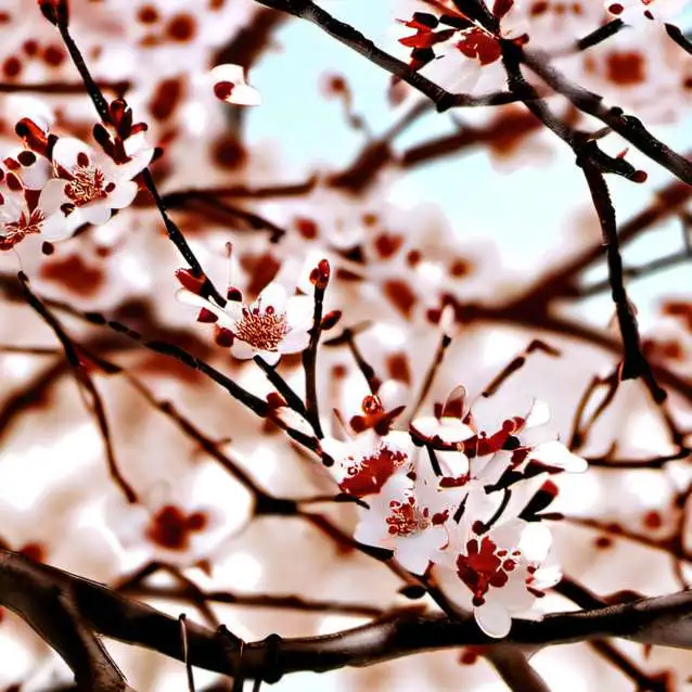 chat with ai character: brothers :3