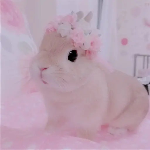 creator Goddess of Roses!♡'s avatar