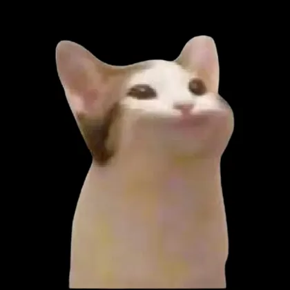 creator SPRUNKI no's avatar