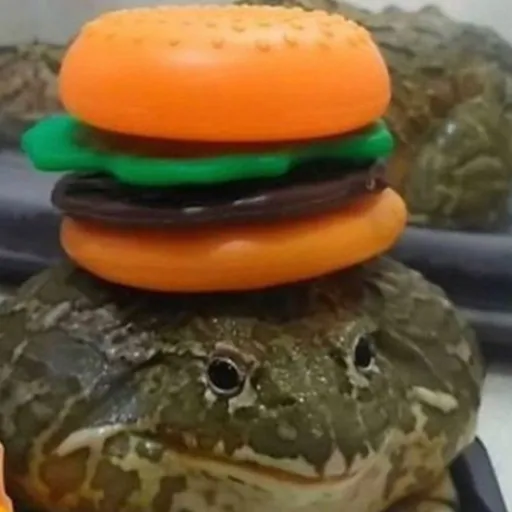 creator ~FROG+STUDIOS~'s avatar