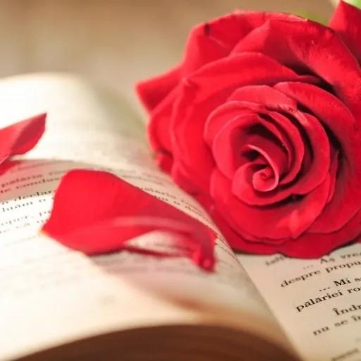 creator Darling Meggie's avatar