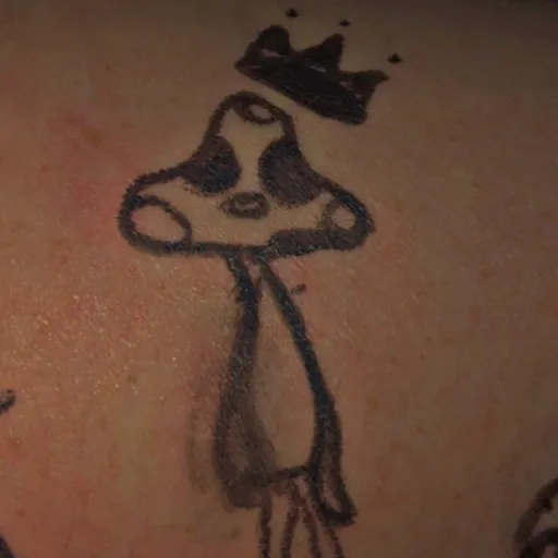 creator SIR MUSHROOM 🍄's avatar