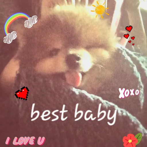 talkie's author avatar