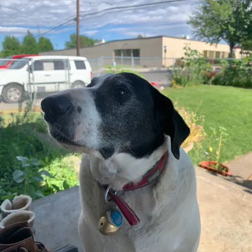 creator Talkior-lxn0791K's avatar