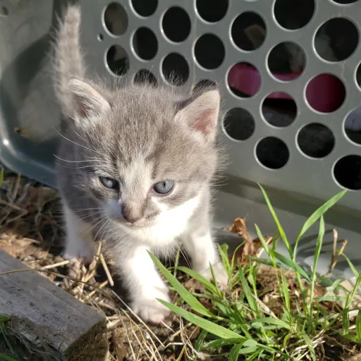 creator ⭐⚽⭐Alexandra⭐⚽⭐'s avatar