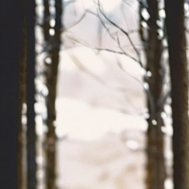 chat with ai character: Tyler 