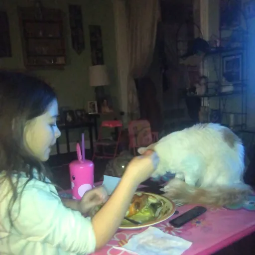 creator cynessa da silly2's avatar