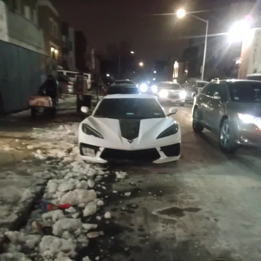 creator animal king's avatar