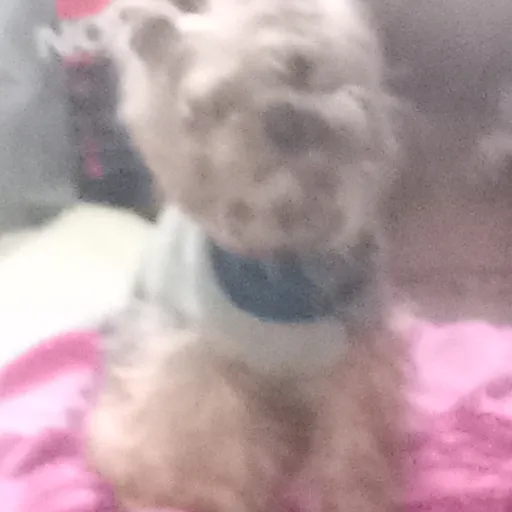 creator ☆♡~Ell~♡☆'s avatar