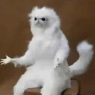 creator WHYISLIFELIFE's avatar