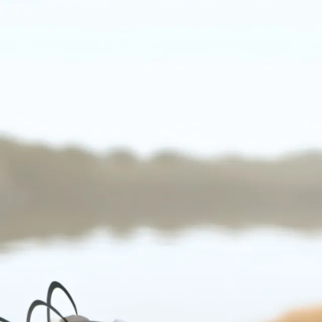 chat with ai character: skylie