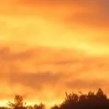 creator ♡Zephyrine/Sienna♡'s avatar