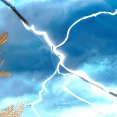 chat with ai character: Anti grass