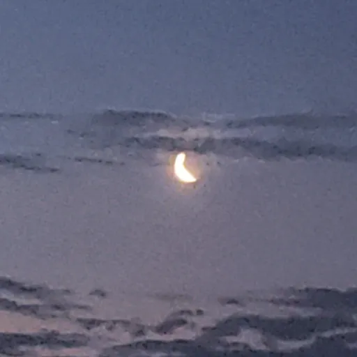 creator ??????.....'s avatar