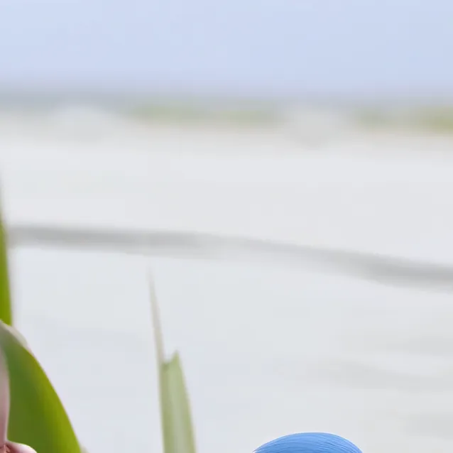 chat with ai character: hummingbird