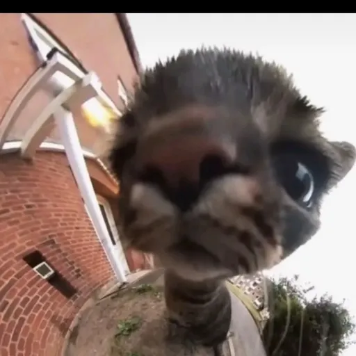 creator ♡Yumi~♡'s avatar