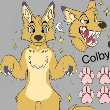 talkie's author avatar