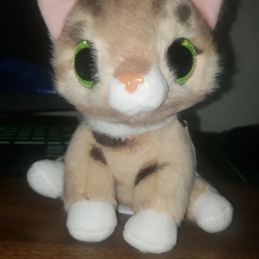 creator willlow hoy's avatar