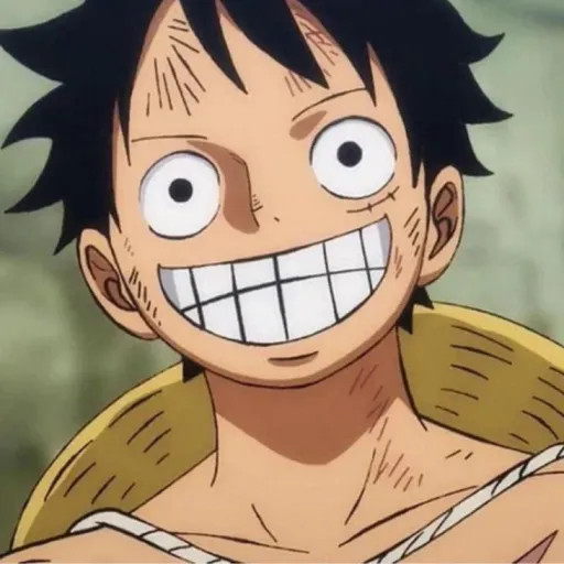 creator One Piece Person's avatar