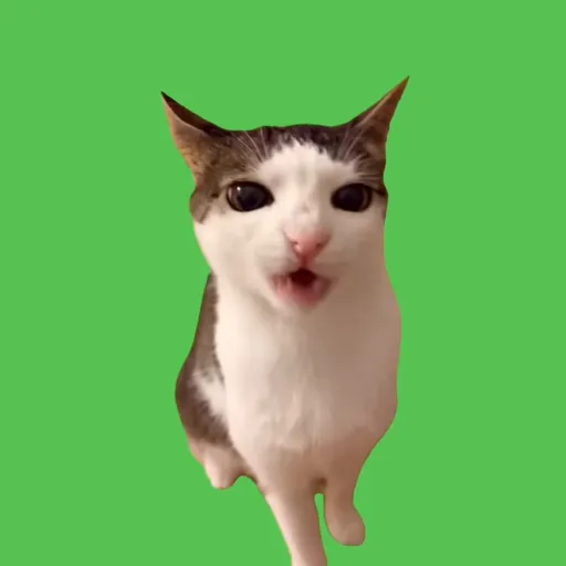 creator luna tiku's avatar