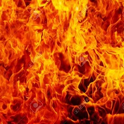 creator Chris Turcios's avatar