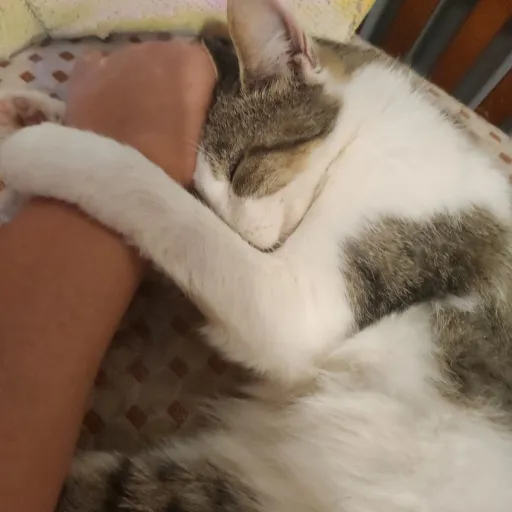 creator Gracelyn.L♡'s avatar