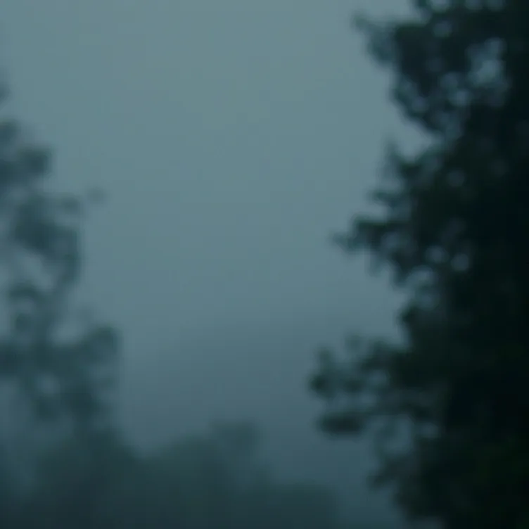 chat with ai character: Jjk sick