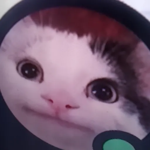 creator kiyokou's avatar