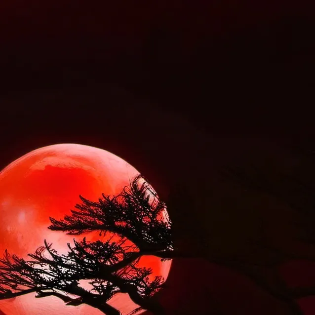 chat with ai character: HH Roast Battle