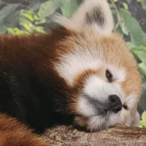 creator Bailey Fritcher's avatar