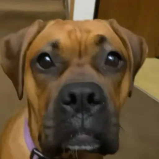 creator Talkior-Q56iteJI's avatar