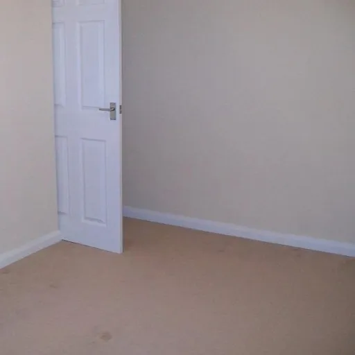 creator you cheated's avatar