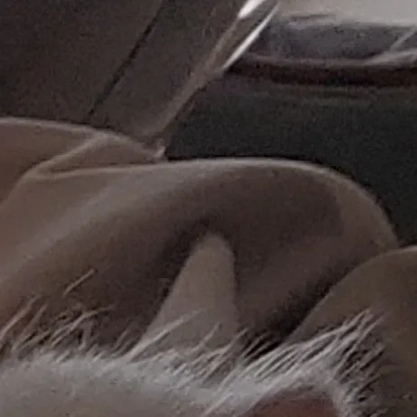 creator Viana's avatar