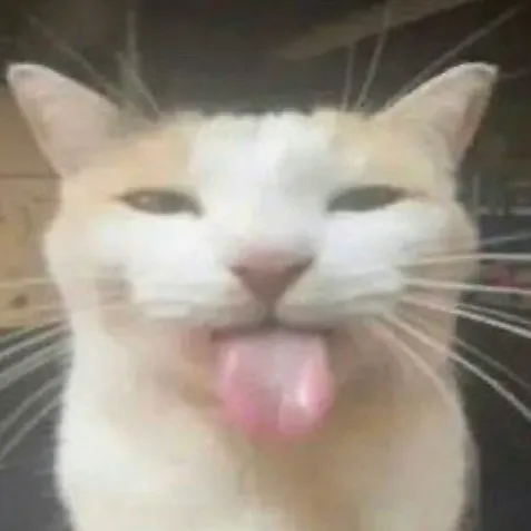 creator Candy 🍬's avatar