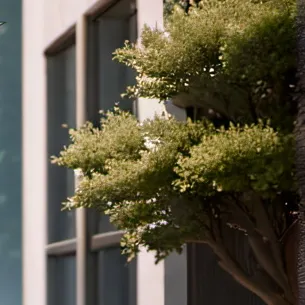 chat with ai character: bakugo