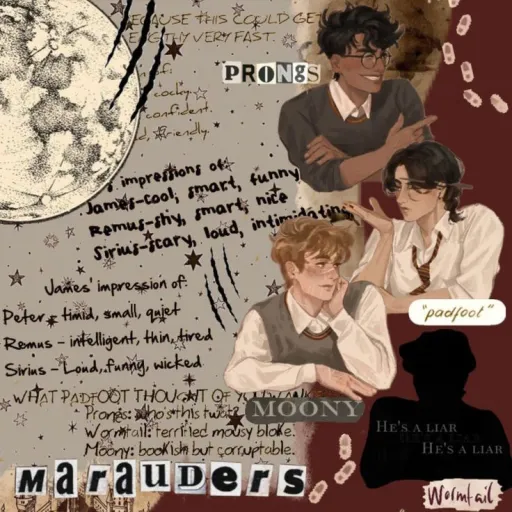 creator Mattheoswife🖕🖕🖕🖕's avatar