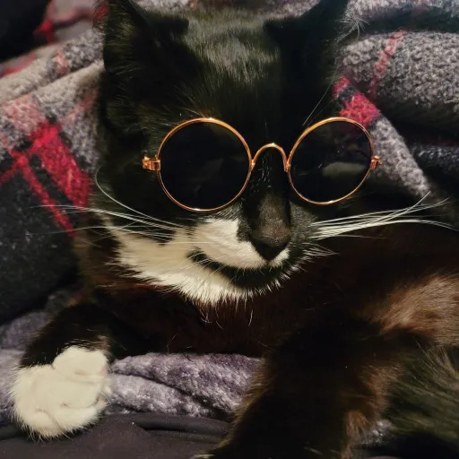 creator Muffinz's avatar